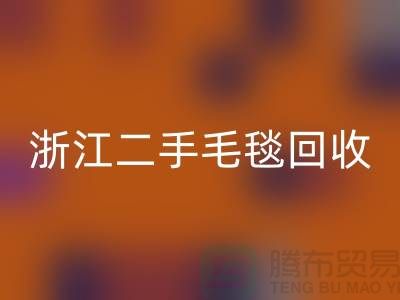 二手毛毯回收，舊物新生的【浙江，上海，江蘇】綠色的庫存之旅