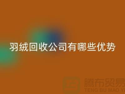 ### 上海羽絨回收公司優(yōu)勢解析：價格公道，服務優(yōu)質