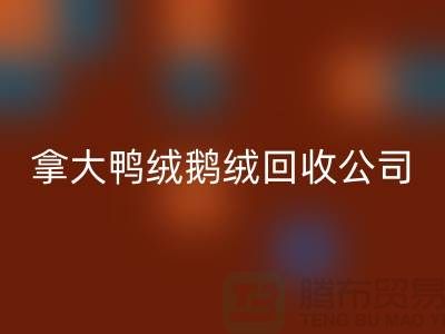 探秘加拿大鴨絨鵝絨回收公司：環保與品質的雙重堅守