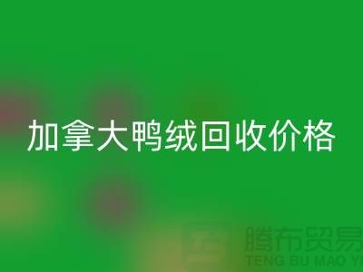 加拿大鴨絨回收價格表最新僅供參考