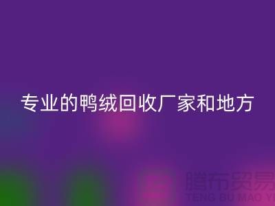 探索鴨絨回收：尋找上海專業的回收廠家與地方