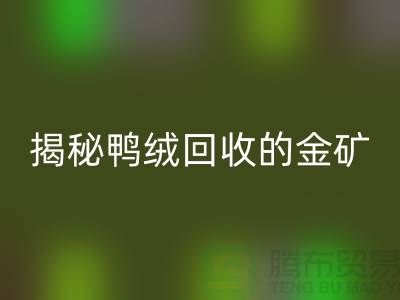 揭秘鴨絨回收的金礦，一年能掙多少錢？上海羽絨回收廠家