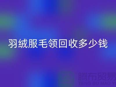 羽絨服毛領(lǐng)回收多少錢一件