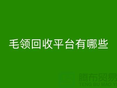 毛領回收平臺有哪些公司或者品牌
