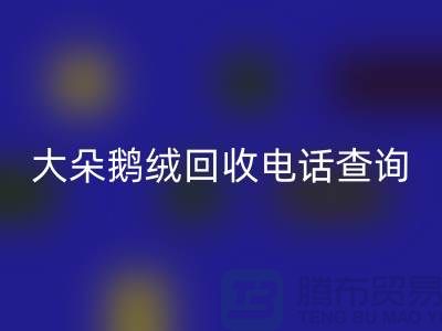 ### 日標羽絨回收，大朵鵝絨回收電話查詢，南京鴨絨回收公司
