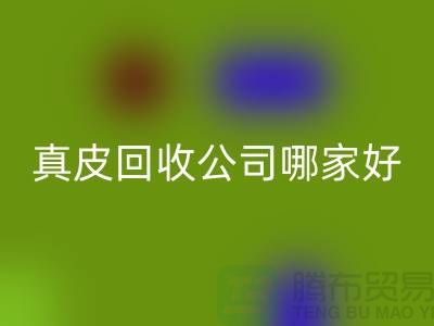 真皮回收公司哪家好？如何選擇優(yōu)質(zhì)的真皮回收公司