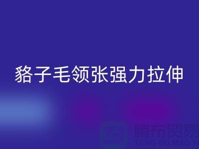 貉子毛領的皮張強力拉伸-為什么不變型-高價回收毛領廠家
