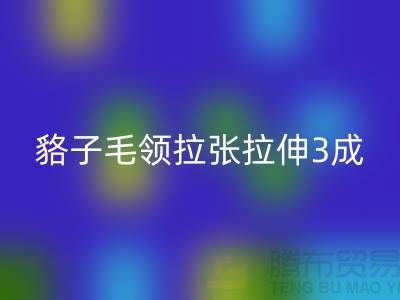 貉子毛領(lǐng)的皮張拉伸3成，痕跡客戶也看不出來(lái)-回收毛領(lǐng)廠家