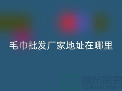 竹纖維毛巾批發廠家地址在哪里-上海騰布貿易