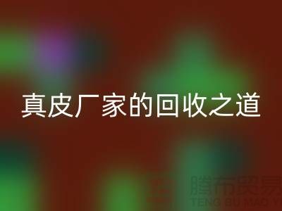 探尋真皮廠家的回收之道：打造環保時尚新潮流