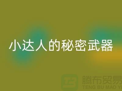 環保小達人的秘密武器：廢布邊角料回收公司的引領力