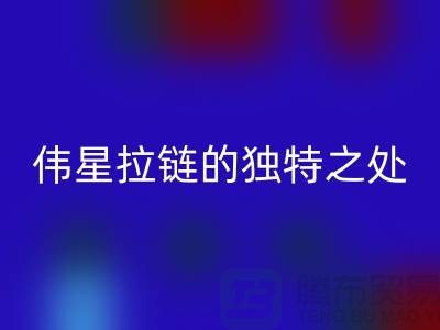 偉星拉鏈的獨特之處＞＞＞＞打造個性與時尚的完美融合