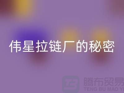 偉星拉鏈的秘密：揭開成功品牌背后的故事