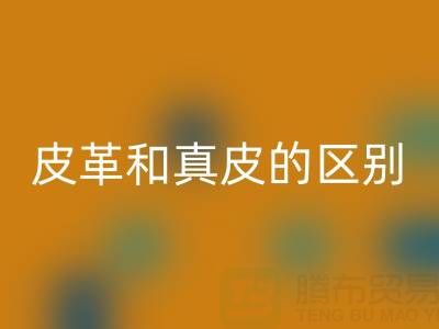 皮革和真皮的區別和耐用度哪個好一點
