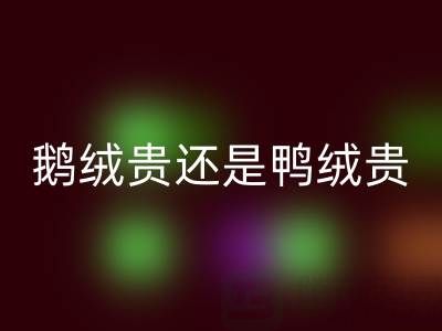 鵝絨貴還是鴨絨貴？鵝絨和鴨絨選購(gòu)建議大揭秘！