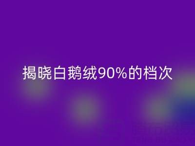 揭秘白鵝絨90%的檔次與價(jià)值，探尋杭州羽絨回收奧秘
