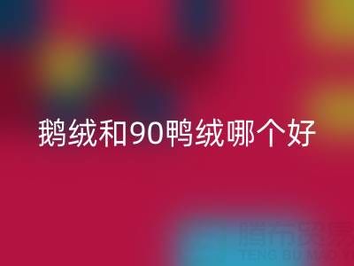 90白鵝絨和90鴨絨哪個(gè)好？羽絨生產(chǎn)廠(chǎng)家的深度解析