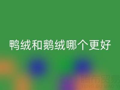 羽絨服鴨絨和鵝絨哪個(gè)更好一點(diǎn)？深度解析與選購(gòu)指南