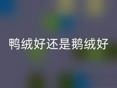 羽絨服是鴨絨好還是鵝絨好——羽絨生產(chǎn)廠(chǎng)家來(lái)解讀