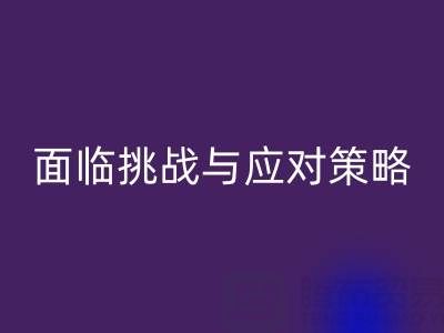庫存染料回收公司面臨的挑戰(zhàn)與應(yīng)對策略